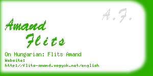 amand flits business card